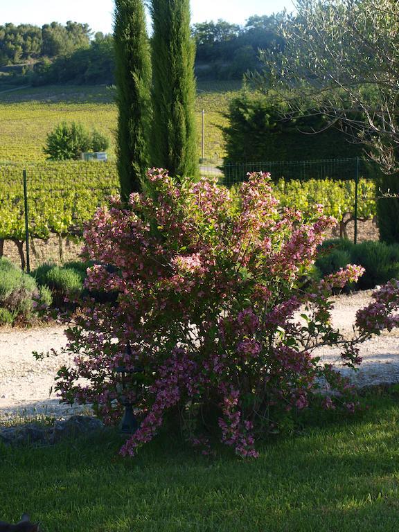 Jardin D'Antan Ansouis Exterior foto