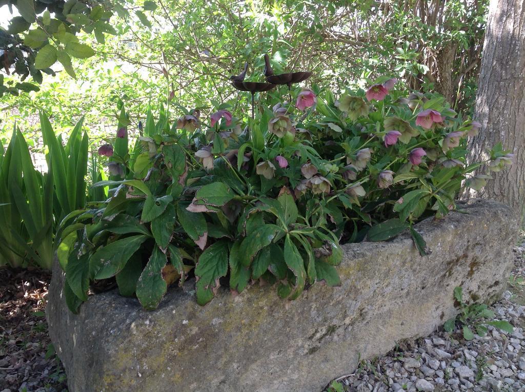 Jardin D'Antan Ansouis Exterior foto